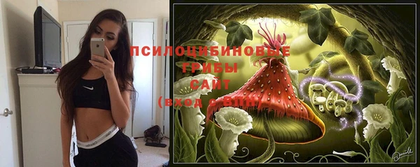молекула духа Осинники