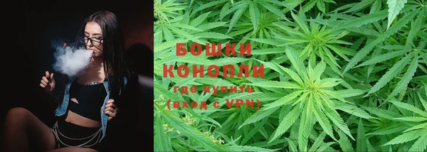 ALPHA PVP Остров