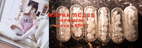 ALPHA PVP Остров