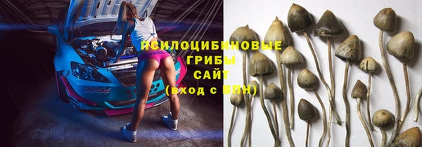 PSILOCYBIN Володарск