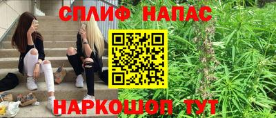 гидра Гай