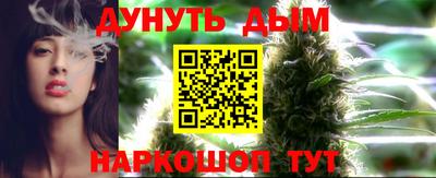 гидра Гай