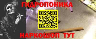 эйфоретик Гатчина