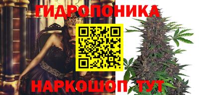 гидра Гай