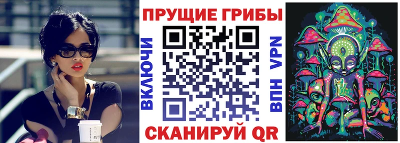 купить наркотик MEGA вход Галлюциногенные грибы мухоморы Шуя