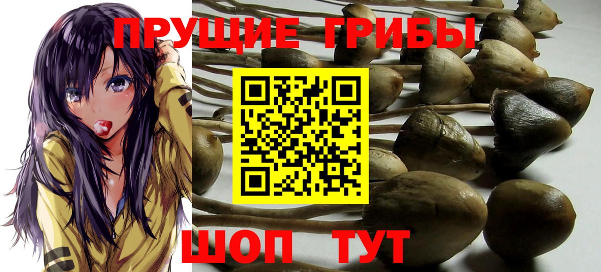 Галлюциногенные грибы Magic Shrooms  Вход с VPN  хочу   Шуя 