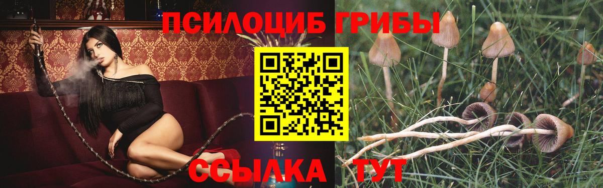 Псилоцибиновые грибы прущие грибы Шуя